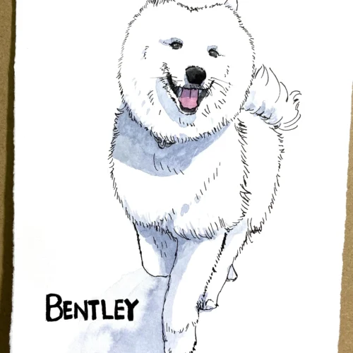 Full Body Pet Portrait (14cm x 19cm)