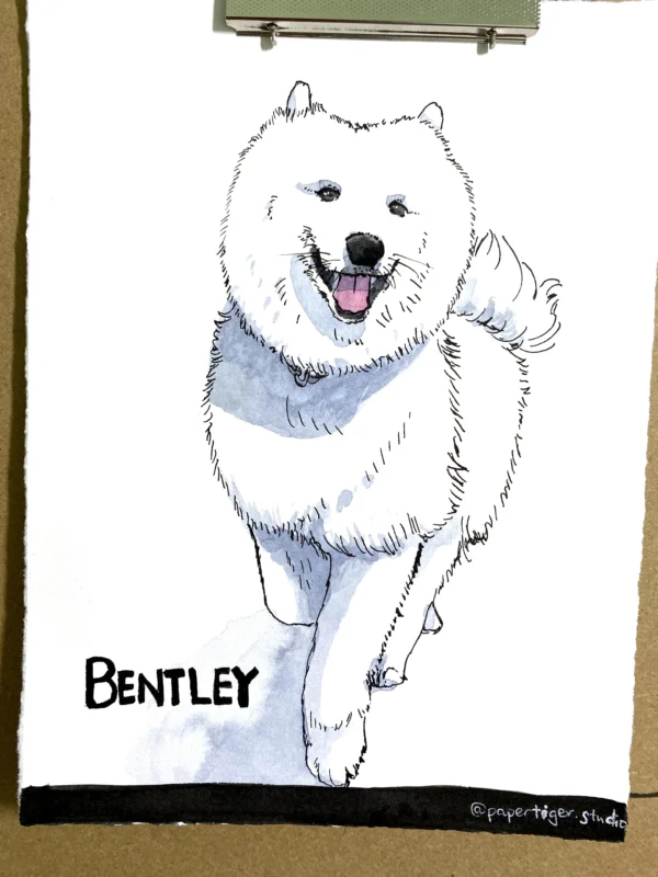 Full Body Pet Portrait (14cm x 19cm)