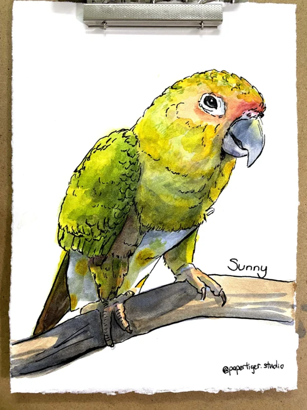 Full Body Pet Portrait (14cm x 19cm)